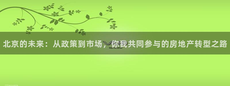 新宝5招商部：北京的未来：从政策到市场，你我共同参与的房地产