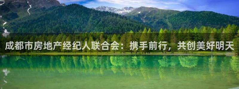 新宝5线路：成都市房地产经纪人联合会：携手前行，共创美好明天