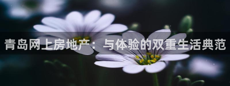 新宝5官方网站：青岛网上房地产：与体验的双重生活典范