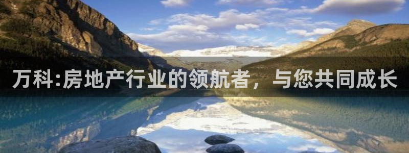新宝m2O5O5O：万科:房地产行业的领航者，与您共同成长