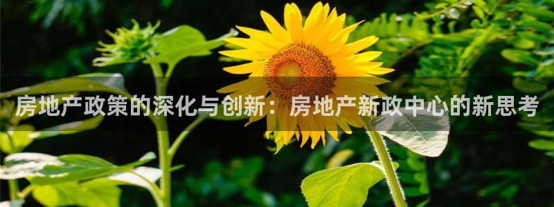 新宝5下载app：房地产政策的深化与创新：房地产新政中心的新