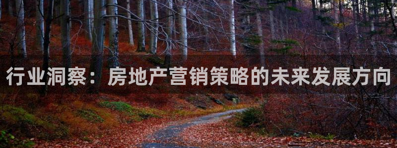 新宝5策略：行业洞察：房地产营销策略的未来发展方向