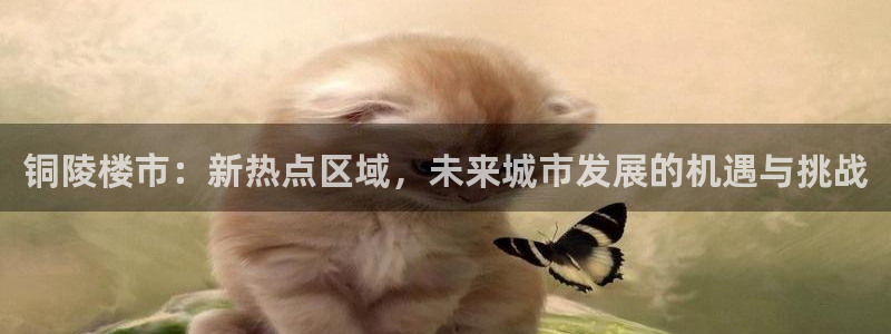 新宝5怎么代理：铜陵楼市：新热点区域，未来城市发展的机遇与挑