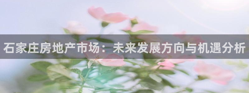 新宝5直属：石家庄房地产市场：未来发展方向与机遇分析