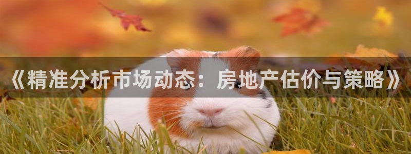 新宝5网址：《精准分析市场动态：房地产估价与策略》