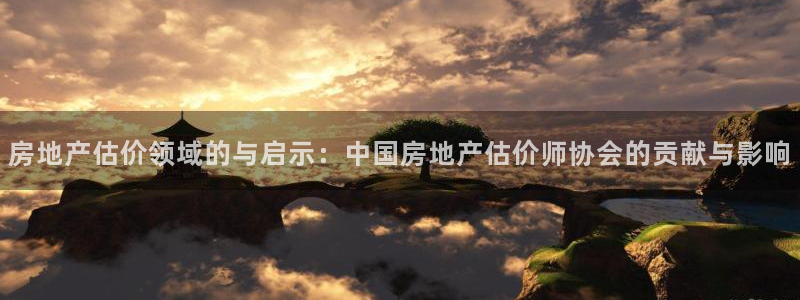 新宝b2O5O5O：房地产估价领域的与启示：中国房地产估价师