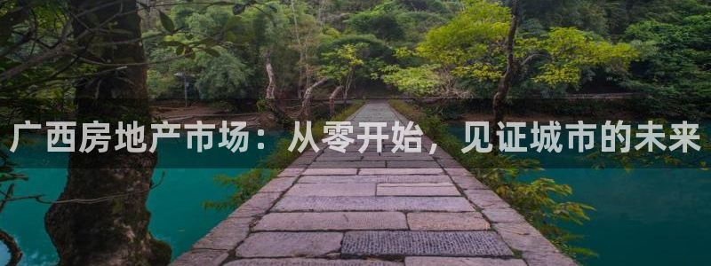 新宝5下载注册：广西房地产市场：从零开始，见证城市的未来