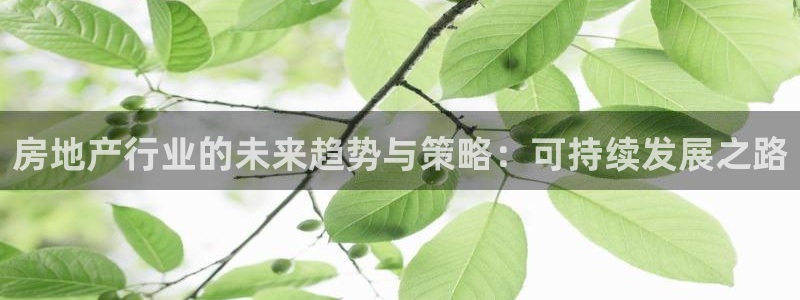新宝5账号注册：房地产行业的未来趋势与策略：可持续发展之路