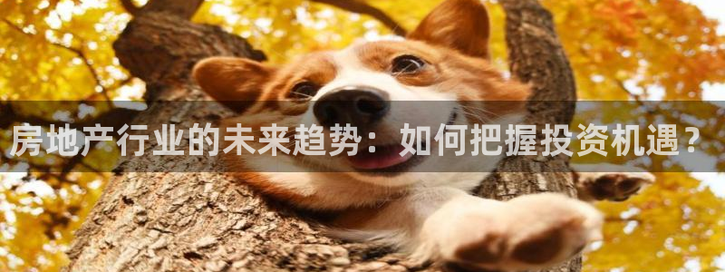 新宝5线路：房地产行业的未来趋势：如何把握投资机遇？