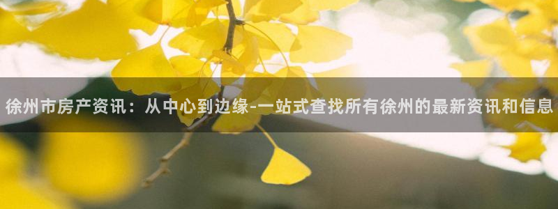 新宝5日740005蔻：徐州市房产资讯：从中心到边缘-一站式