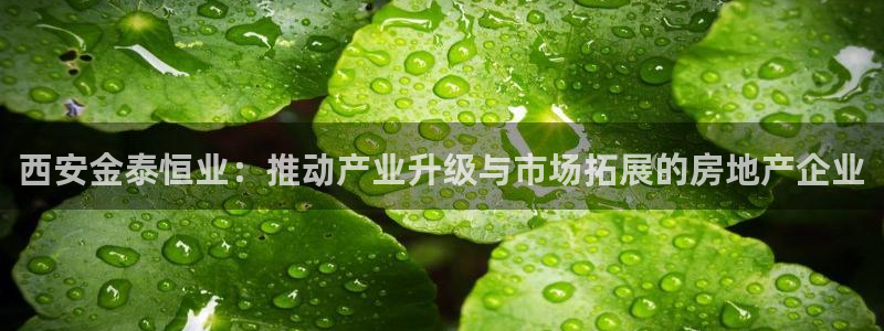 新宝5下载注册：西安金泰恒业：推动产业升级与市场拓展的房地产
