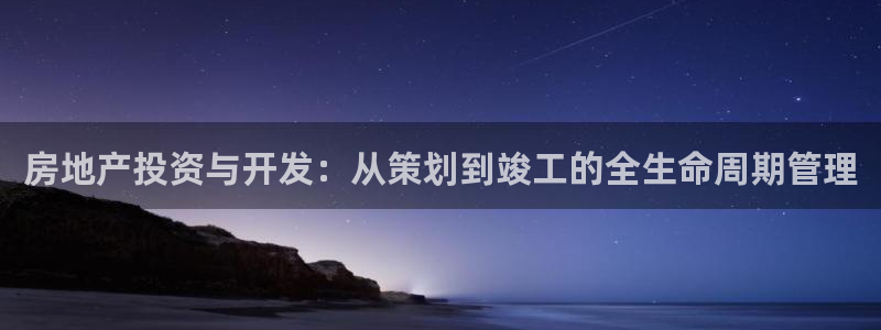 新宝5开好：房地产投资与开发：从策划到竣工的全生命周期管理