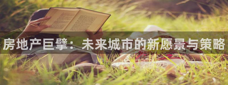 新宝rm5：房地产巨擘：未来城市的新愿景与策略
