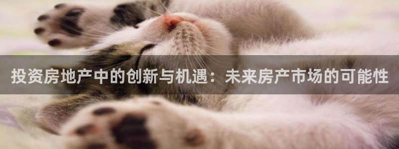 新宝5测速在线：投资房地产中的创新与机遇：未来房产市场的可能
