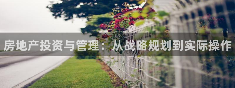 新宝5是什么：房地产投资与管理：从战略规划到实际操作
