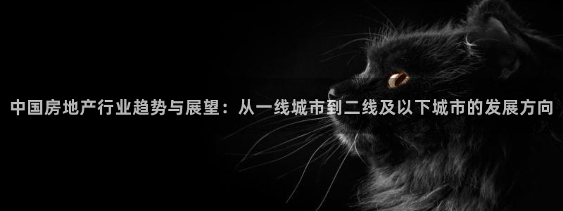 新宝gg5：中国房地产行业趋势与展望：从一线城市到二线及以下