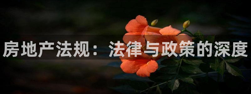 新宝5娱乐家：房地产法规：法律与政策的深度