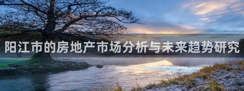 新宝奇迹GG5：阳江市的房地产市场分析与未来趋势研究