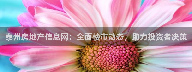 新宝5娱乐都：泰州房地产信息网：全面楼市动态，助力投资者决策