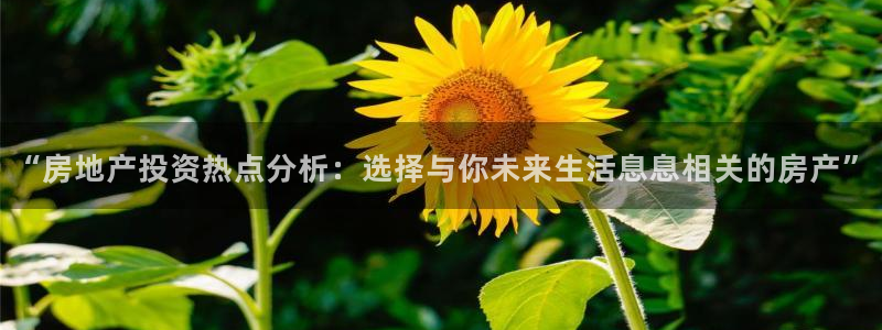 新宝5手机下载：“房地产投资热点分析：选择与你未来生活息息相