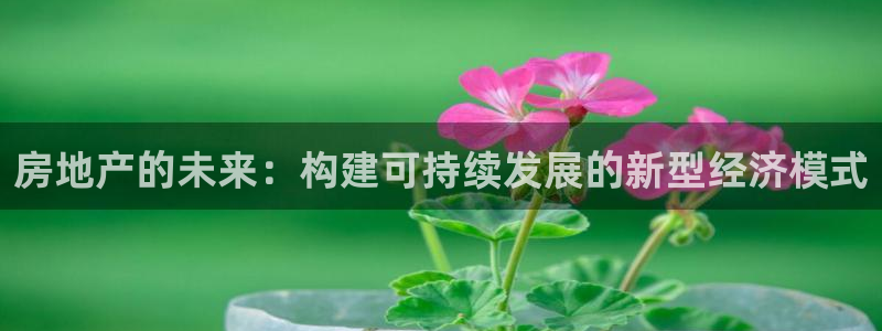 新宝5平台登陆：房地产的未来：构建可持续发展的新型经济模式