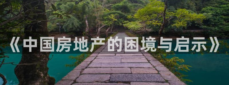 新宝5手机下载：《中国房地产的困境与启示》