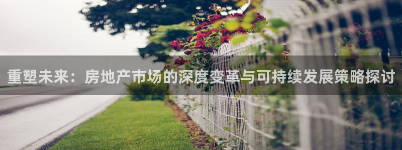 p5r新宝魔：重塑未来：房地产市场的深度变革与可持续发展策略